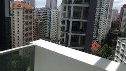 Espada (D9), Apartment #557702061